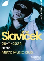 Slavíček - První brikule tour