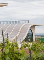 Stolování ve vinicích LAHOFER
