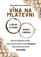 Vína na mlatevni v Sobůlkách