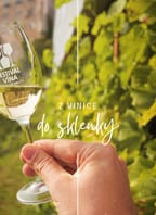 Wine tour – Túra po krumlovských viničkách