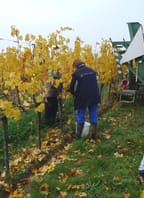Školení – práce a činnosti ve Vinici