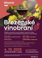 Vinobraní v Březně