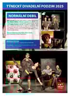 Normální debil