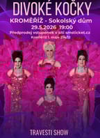 Travesti Divoké kočky v Kroměříži