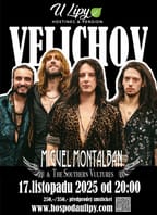Miguel Montalban & The Southern Vultures