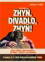 Zhyň