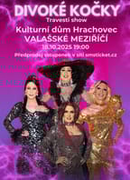 Travesti show Divoké kočky ve Valašském Meziřičí