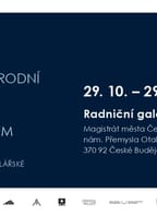 8. – 9. Mezinárodní sympozium rytého skla v Kamenickém Šenově