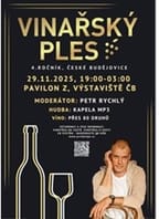 VINAŘSKÝ PLES – 4. ROČNÍK