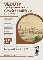 Veduty a jiná vyobrazení města Českých Budějovic (17.–19. století)