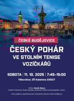Český pohár vozíčkářů ve stolním tenisu