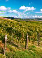 Workshop s národní sommelierkou (Mikulovsko) – Apelační systémy u nás a ve světě