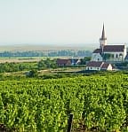 Workshop s národní sommelierkou (Znojemsko) – Apelační systémy u nás a ve světě