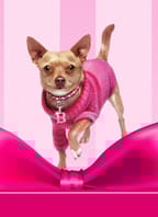 Pravá Blondýnka jr.