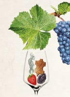 Workshop s národní sommelierkou – Pinot noir