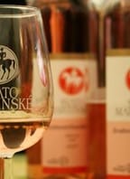 Svatomartinská vína v DEGUSTÁRNĚ