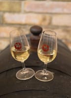 Martinské hody ve Vedrovicích