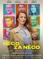Něco za něco  (Česko)  2D