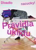 Pravidla úklidu