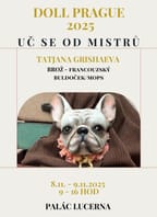 Jedinečný kurz: BROŽ – francouzský buldoček/mops