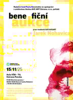 Benefiční aukce