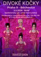 travesti Divoké kočky v PRAZE