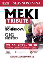 Slavnost vína 2025