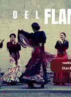 Etno Brno 2025 – Día del Flamenco