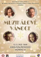 Muzikálové Vánoce