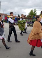 Velkopavlovické vinobraní