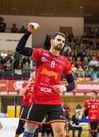 ČEZ extraliga: Jihostroj – Brno