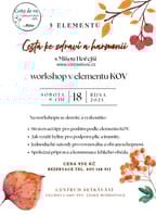 CESTA ke ZDRAVÍ a HARMONII – workshop v ELEMENTU „KOV“