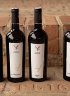 Sváteční degustace ve Vinařství Fučík