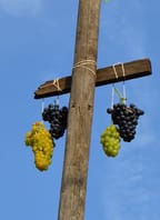 Zarážení hory Bořetice