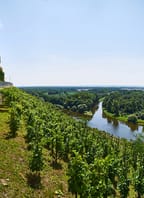 Vyhlášení výsledků Národní soutěže vín vinařské oblasti Čechy