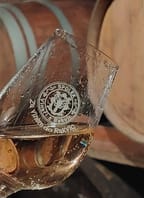 Letní služby vinařů – za vínem do Rakvic