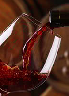 Réva vinná a víno