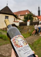 Svatováclavské vinobraní