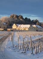 Tříkrálový košt mladých vín s posezením u cimbálu