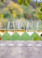 Degustační středa ve Vinařství Fučík