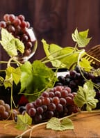 Roudnické vinobraní