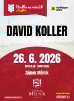 Hudba na vinicích: David Koller – Chateau Mělník