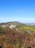 Pálavský vlašák Klentnice