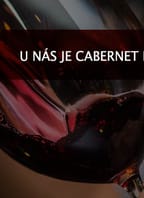 Ochutnávka … nejen vín odrůdy Cabernet Moravia