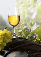 43. výstava vín Přibice