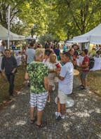 Skutečný festival vína