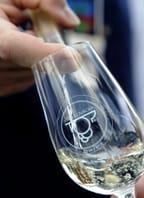 TOP Víno Slovácka 2026