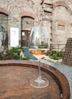 Degustace malovinařů středních a východních Čech