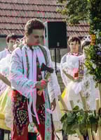 Vinobraní pod Nechory