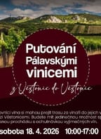 Putování Pálavskými vinicemi z Věstonic do Věstonic